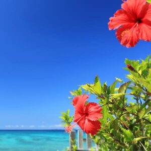 株式会社ハイサイです！