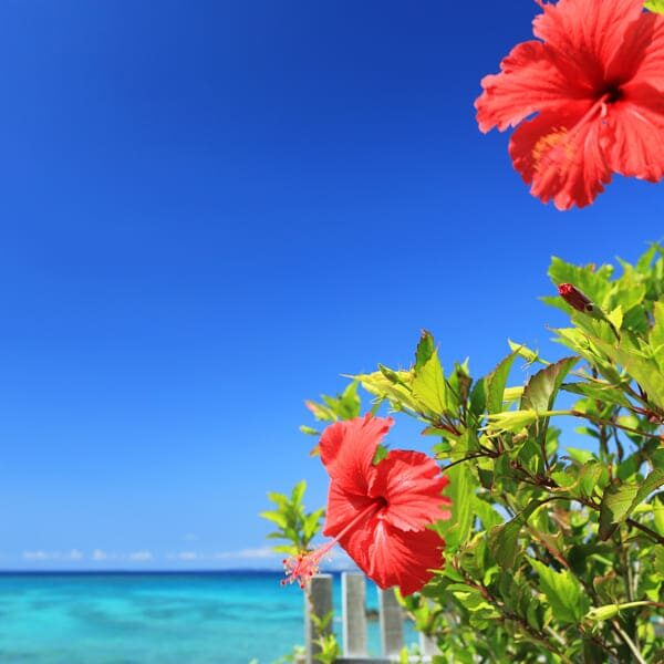 株式会社ハイサイです！